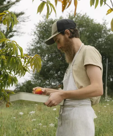 Iñaki recogiendo melocotones en la huerta