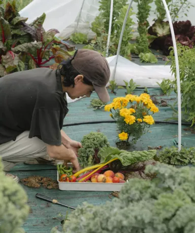 Lola recogiendo productos en la huerta