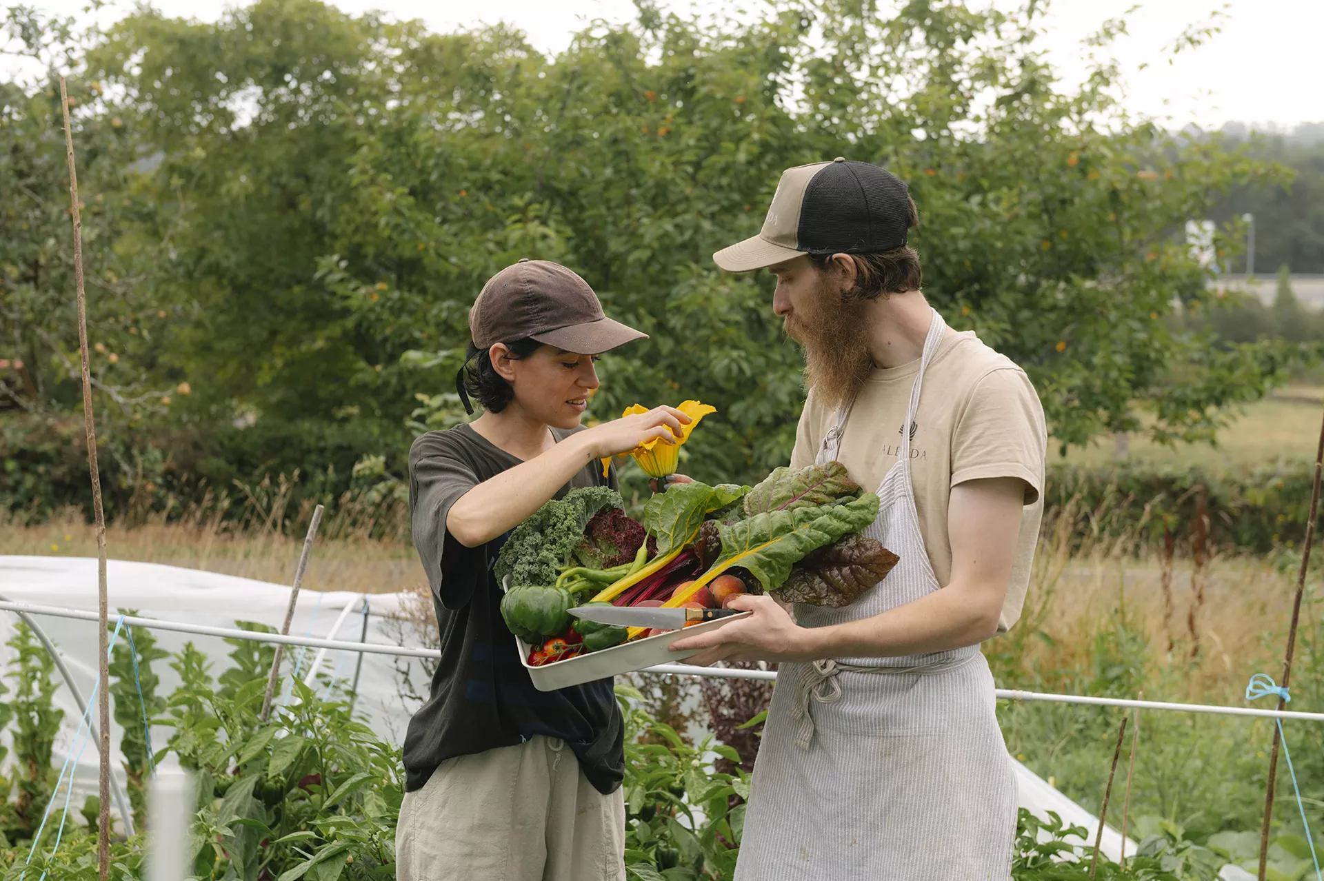 Lola e Iñaki en la huerta, observando productos recién recogidos de la huerta